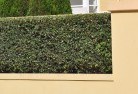 Kaltukatjarahard-landscaping-surfaces-8.jpg; ?>